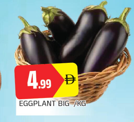 Eggplant available at المدينة in الإمارات العربية المتحدة , الامارات - الشارقة / عجمان