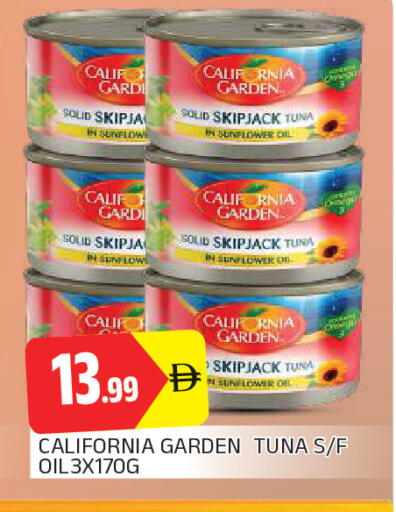 available at المدينة in الإمارات العربية المتحدة , الامارات - الشارقة / عجمان