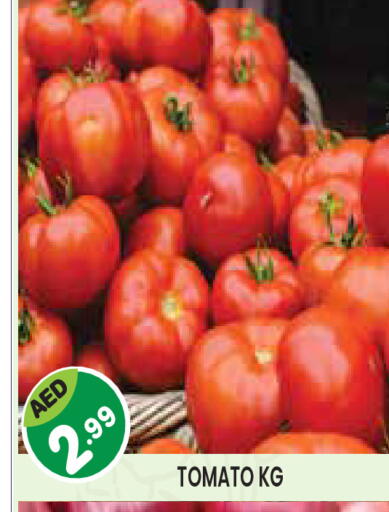 Tomato available at Baniyas Spike  in UAE - Abu Dhabi