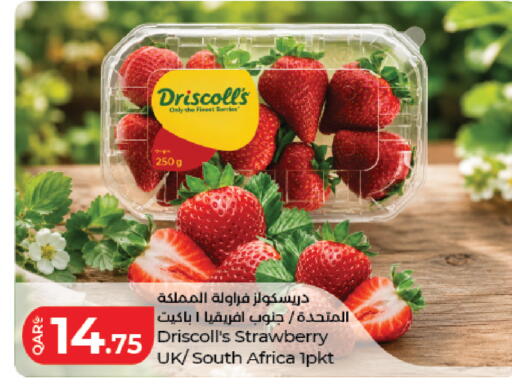 Strawberry from South Africa available at LuLu Hypermarket in Qatar - Al Shamal