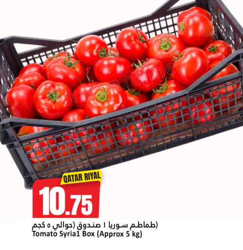 Tomato from Qatar available at دانة هايبرماركت in قطر - الريان
