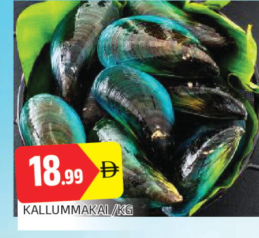 available at AL MADINA in UAE - Sharjah / Ajman
