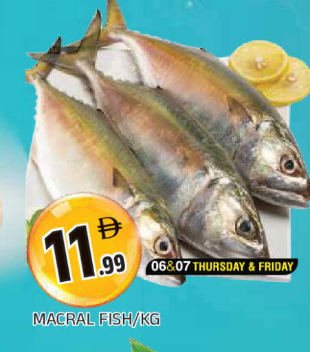 available at المدينة in الإمارات العربية المتحدة , الامارات - الشارقة / عجمان