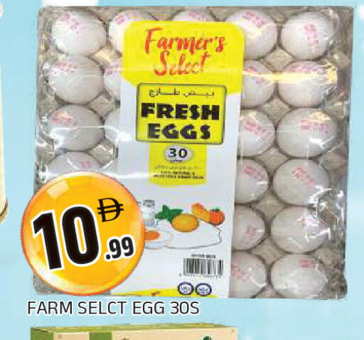 available at AL MADINA in UAE - Sharjah / Ajman