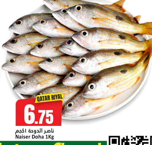 available at دانة هايبرماركت in قطر - الريان