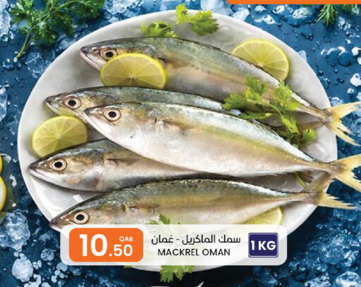 available at البلدي اليوم in قطر - الوكرة