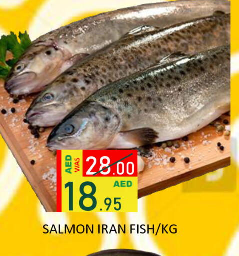 available at رويال جلف هايبرماركت in الإمارات العربية المتحدة , الامارات - أبو ظبي