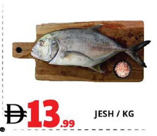 available at EXPRESS AL MADEENA HYPERMARKET LLC in UAE - Abu Dhabi