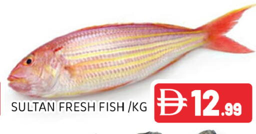 available at Ain Al Madina Hypermarket in UAE - Sharjah / Ajman