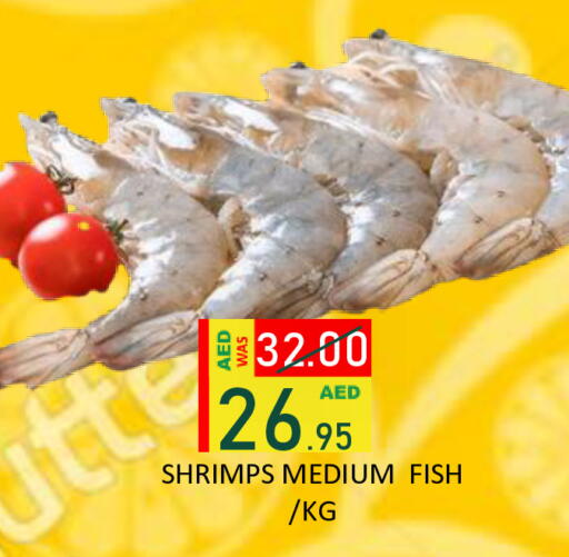 available at رويال جلف هايبرماركت in الإمارات العربية المتحدة , الامارات - أبو ظبي