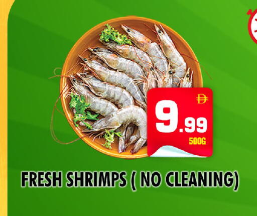 available at NIGHT TO NIGHT DEPARTMENT STORE in UAE - Sharjah / Ajman