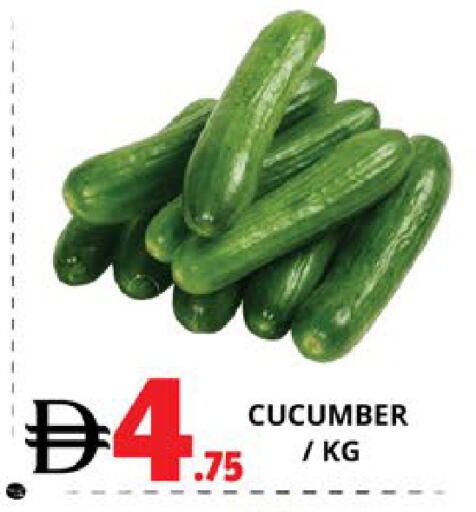 Cucumber available at EXPRESS AL MADEENA HYPERMARKET LLC in UAE - Abu Dhabi