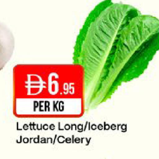 Lettuce Celery from Jordan available at West Zone Supermarket in UAE - Sharjah / Ajman