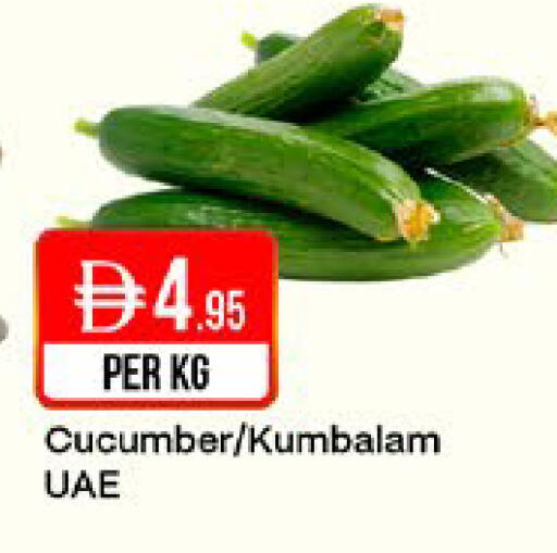 Cucumber available at West Zone Supermarket in UAE - Sharjah / Ajman