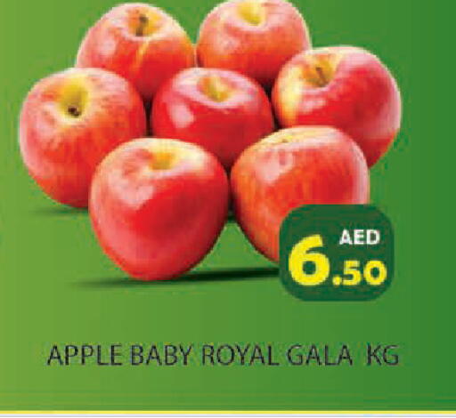 Apple available at Baniyas Spike  in UAE - Ras al Khaimah