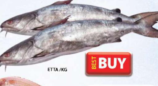 available at جراند هايبر ماركت in الإمارات العربية المتحدة , الامارات - دبي