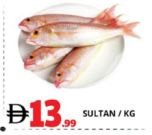 available at EXPRESS AL MADEENA HYPERMARKET LLC in UAE - Abu Dhabi