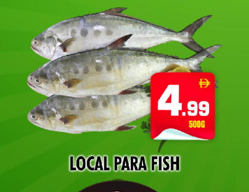 available at NIGHT TO NIGHT DEPARTMENT STORE in UAE - Sharjah / Ajman