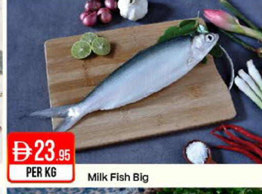 available at West Zone Supermarket in UAE - Sharjah / Ajman
