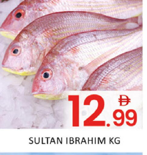available at المدينة in الإمارات العربية المتحدة , الامارات - دبي