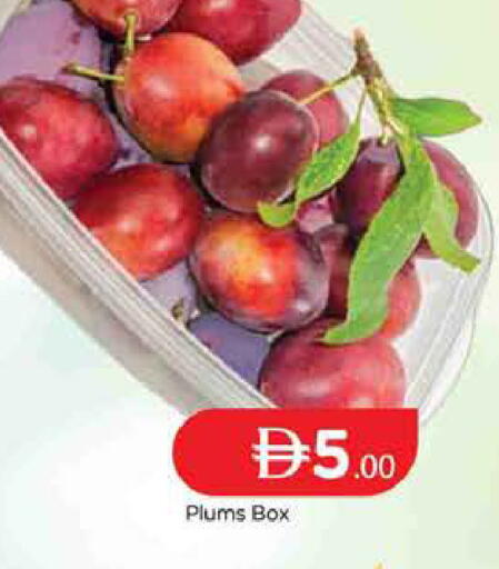 Plums available at المدينة in الإمارات العربية المتحدة , الامارات - دبي