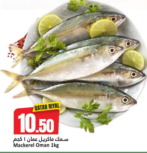 available at دانة هايبرماركت in قطر - الريان