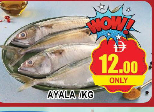available at المدينة in الإمارات العربية المتحدة , الامارات - دبي