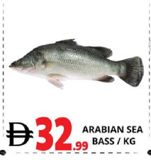 available at EXPRESS AL MADEENA HYPERMARKET LLC in UAE - Abu Dhabi