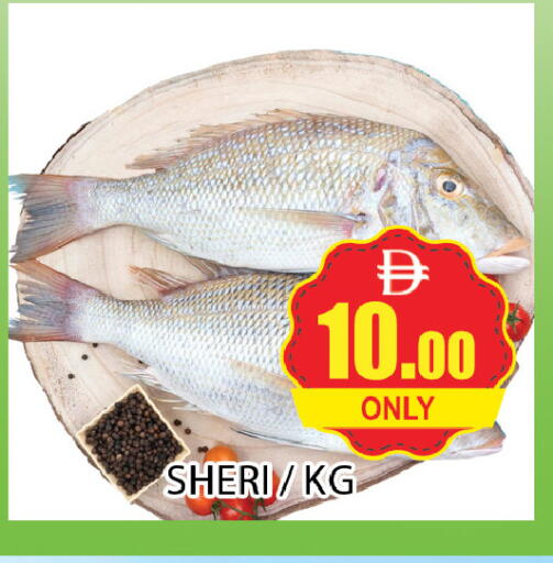 available at المدينة in الإمارات العربية المتحدة , الامارات - دبي
