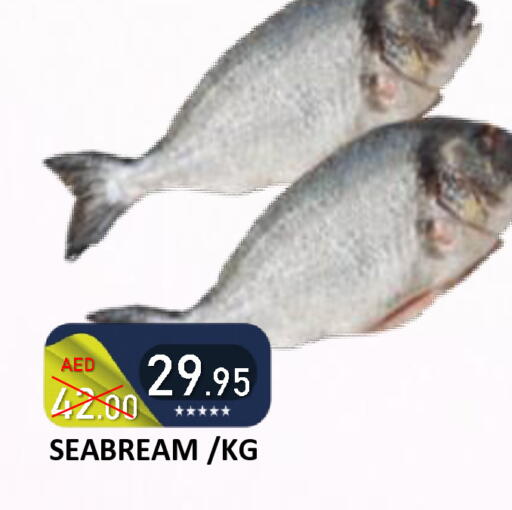available at رويال جلف هايبرماركت in الإمارات العربية المتحدة , الامارات - أبو ظبي