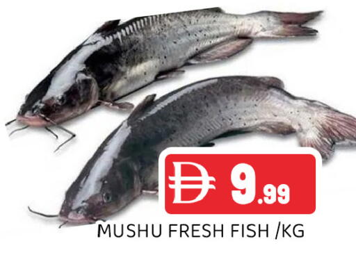 available at Ain Al Madina Hypermarket in UAE - Sharjah / Ajman