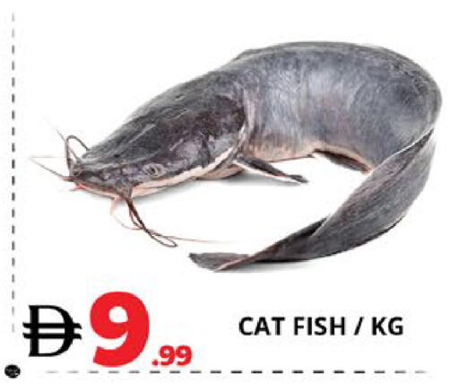 available at EXPRESS AL MADEENA HYPERMARKET LLC in UAE - Abu Dhabi