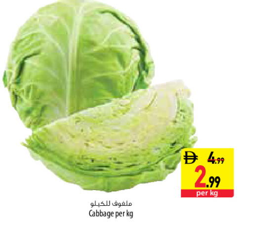 Cabbage available at السفير ماركت in الإمارات العربية المتحدة , الامارات - دبي