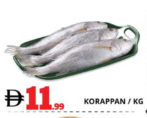 available at EXPRESS AL MADEENA HYPERMARKET LLC in UAE - Abu Dhabi