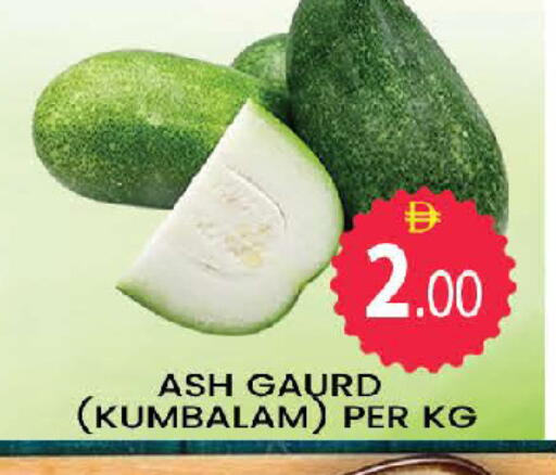 available at المدينة in الإمارات العربية المتحدة , الامارات - دبي