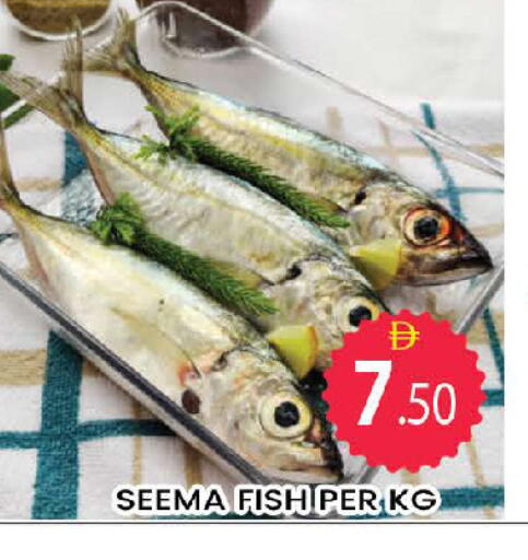 available at المدينة in الإمارات العربية المتحدة , الامارات - دبي