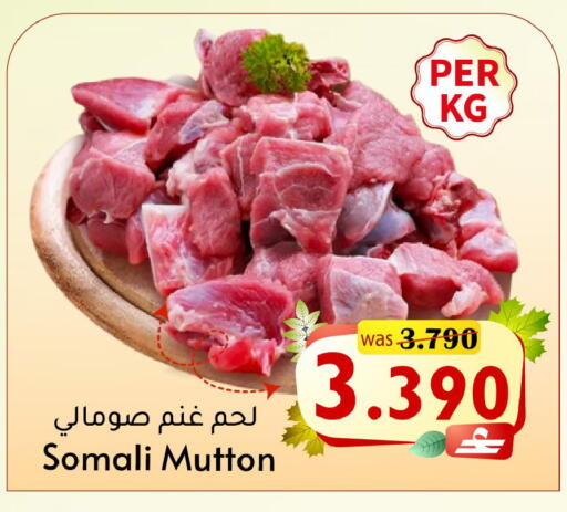 available at القوت هايبرماركت in عُمان - مسقط‎