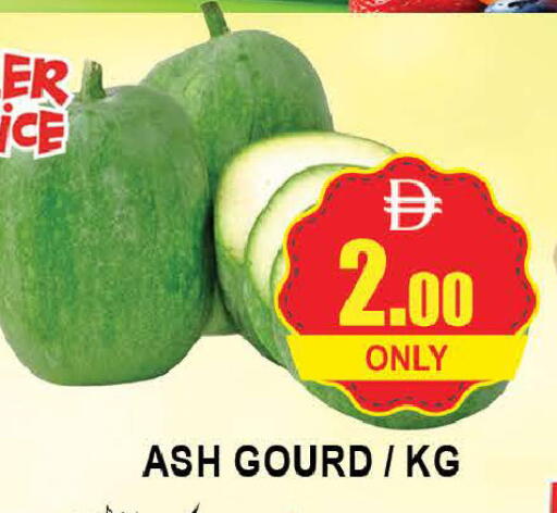 available at المدينة in الإمارات العربية المتحدة , الامارات - دبي