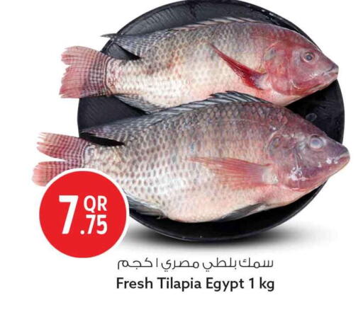 available at سفاري هايبر ماركت in قطر - الوكرة
