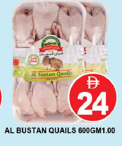 available at المدينة in الإمارات العربية المتحدة , الامارات - دبي