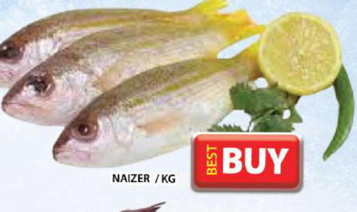 available at جراند هايبر ماركت in الإمارات العربية المتحدة , الامارات - دبي