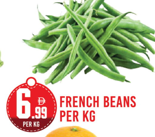 from France available at Dream Land in UAE - Dubai