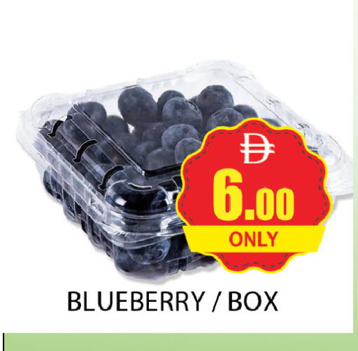 Blueberry BlueBerry available at المدينة in الإمارات العربية المتحدة , الامارات - دبي