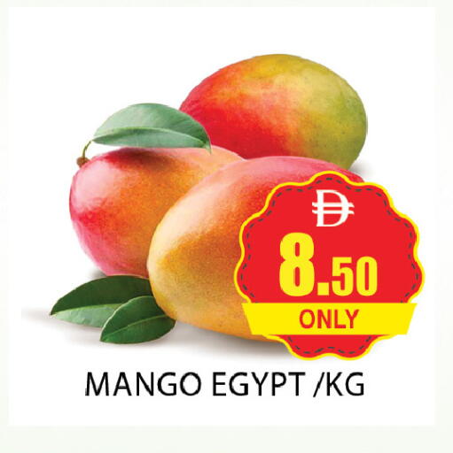 Mango from Egypt available at المدينة in الإمارات العربية المتحدة , الامارات - دبي