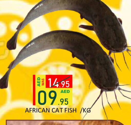 available at رويال جلف هايبرماركت in الإمارات العربية المتحدة , الامارات - أبو ظبي