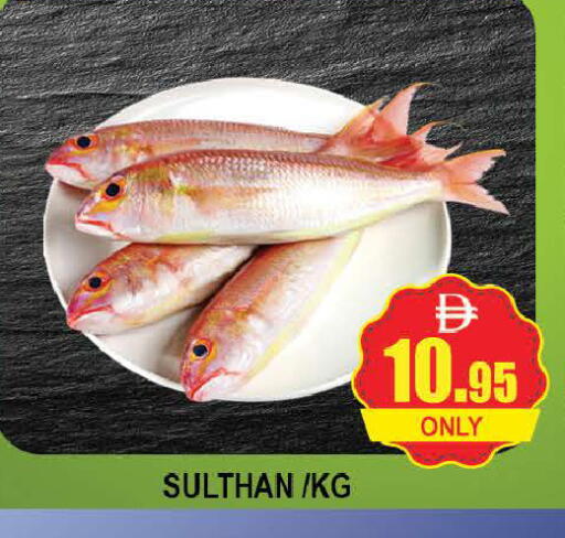 available at AL MADINA (Dubai) in UAE - Dubai