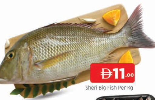 available at المدينة in الإمارات العربية المتحدة , الامارات - دبي