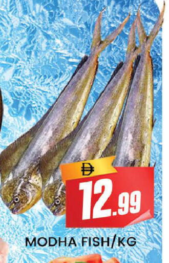 available at AL MADINA (Dubai) in UAE - Dubai