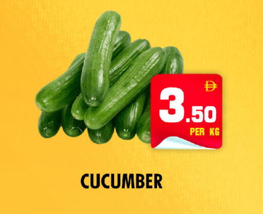 Cucumber available at NIGHT TO NIGHT DEPARTMENT STORE in UAE - Sharjah / Ajman