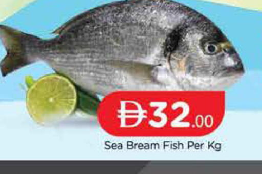 available at المدينة in الإمارات العربية المتحدة , الامارات - دبي